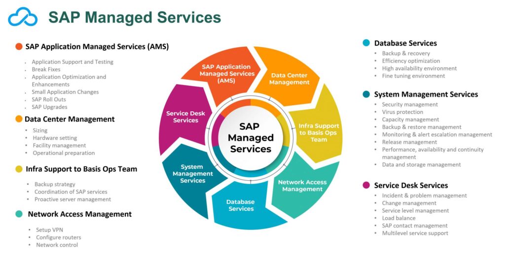 SAP Managed Services Provider