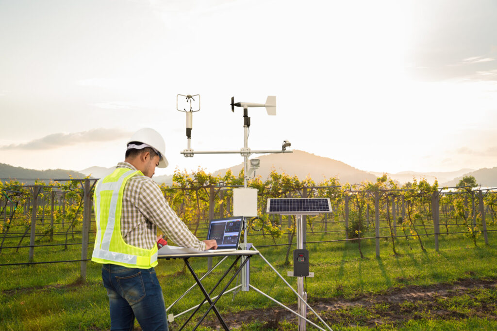 Agronomist collecting data in an agricultural field.