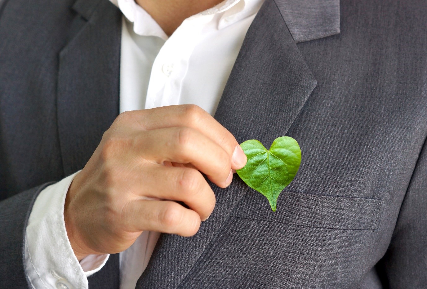 A corporate professional holding a heart shaped leaf.